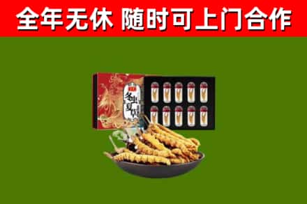开化县回收冬虫夏草价格
